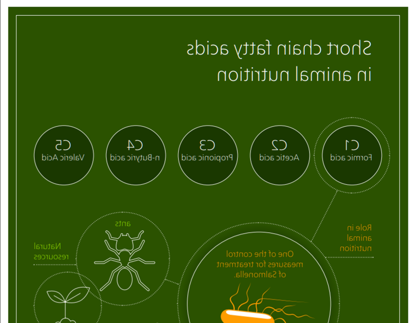 Short fatty acids infographic